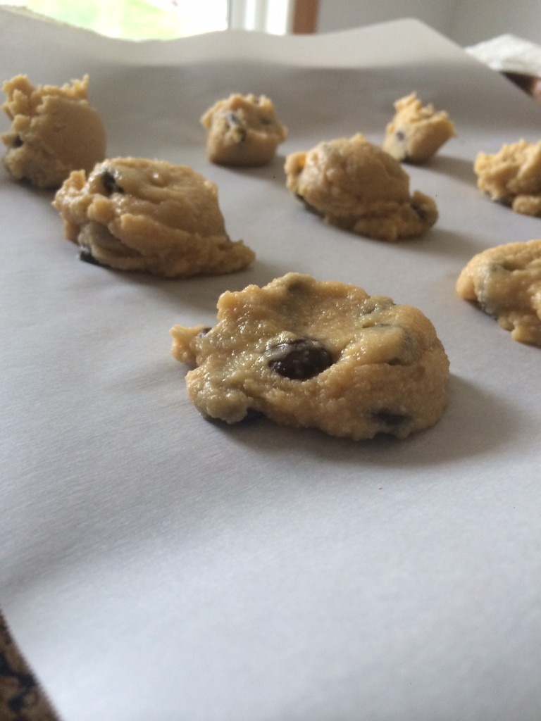 PALEO CHOCOLATE CHIP COOKIE RECIPE