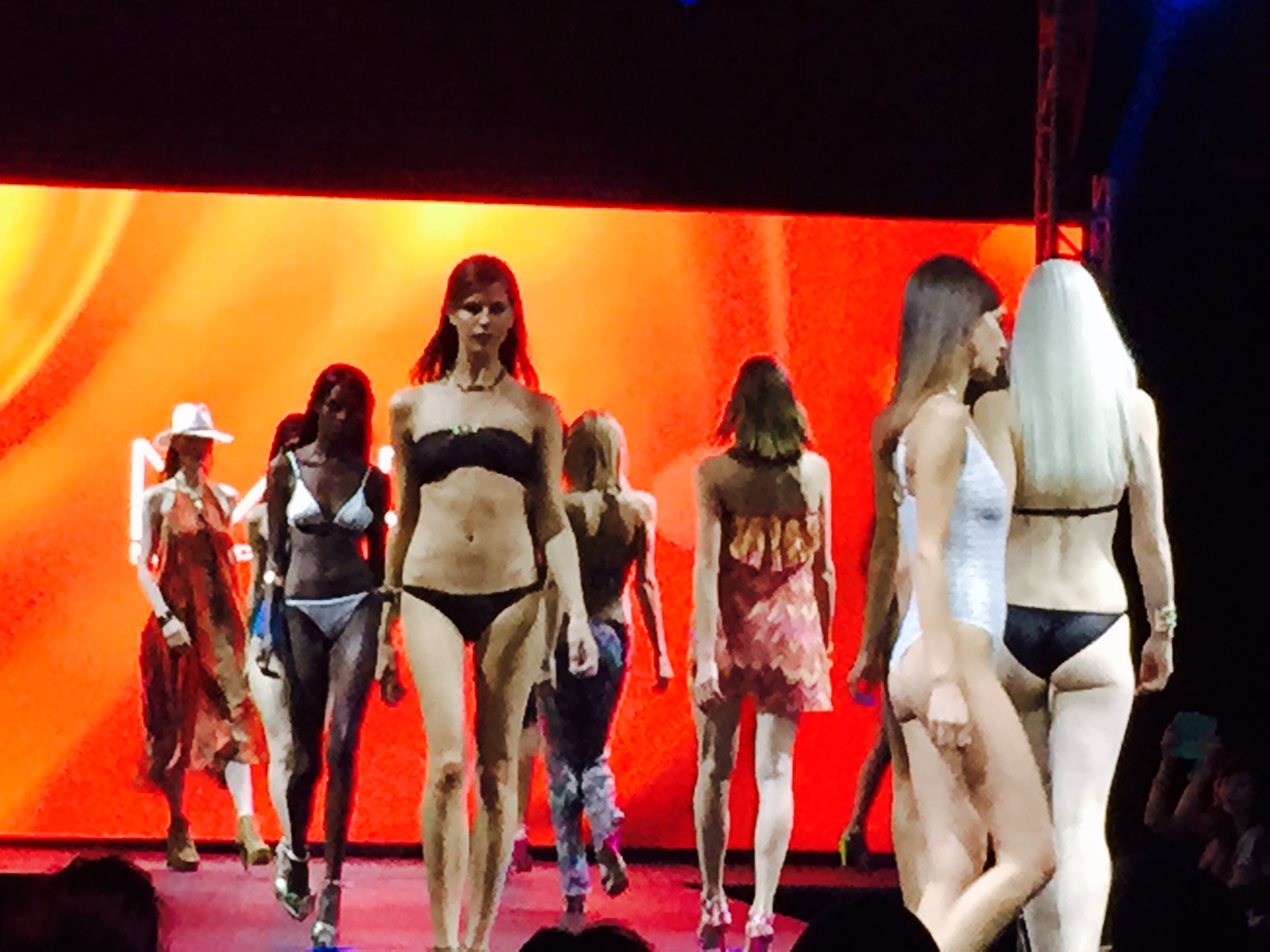 runway photo during the Audrey Magazine Fashion Show 2015