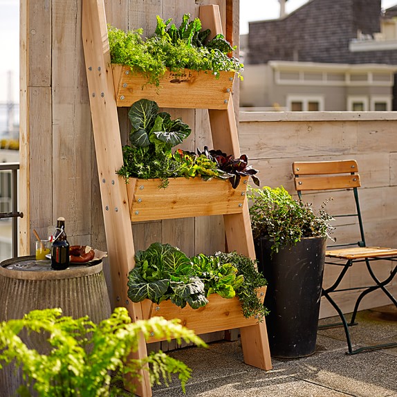 vertical garden with plants on the rooftop