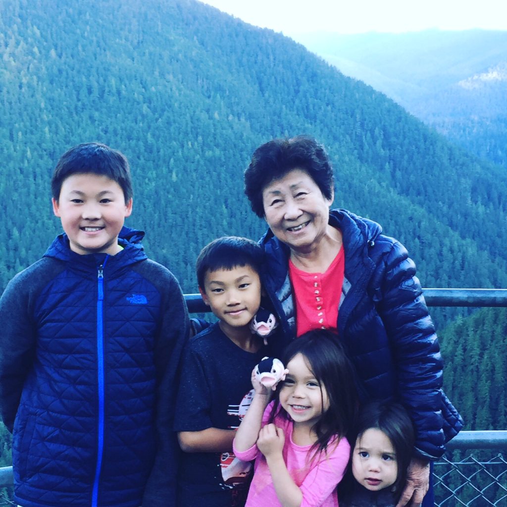 Elaine Sir's family at the top of Hurricane Ridge.