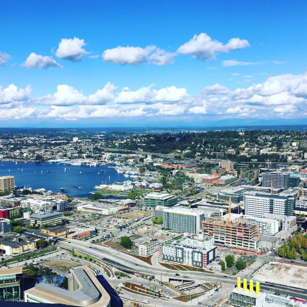 SEATTLE CITY GUIDE - gorgeous view taken from the top of the space needle