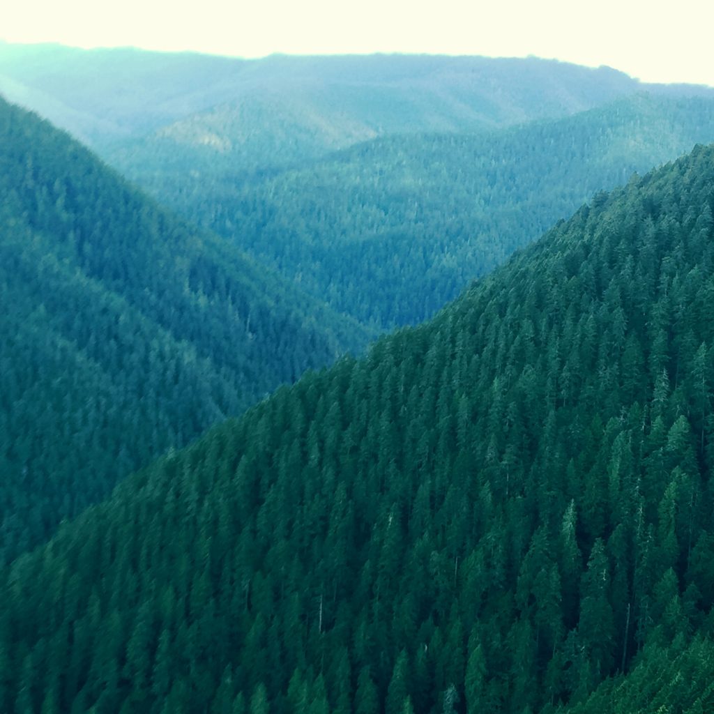 Hurricane Ridge