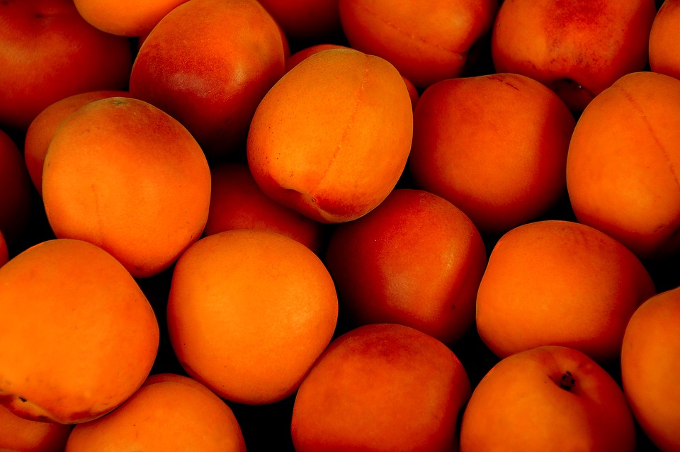 apricot-1556851_960_720