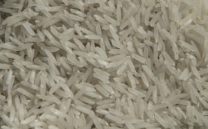 grains of LOW CARB RICE