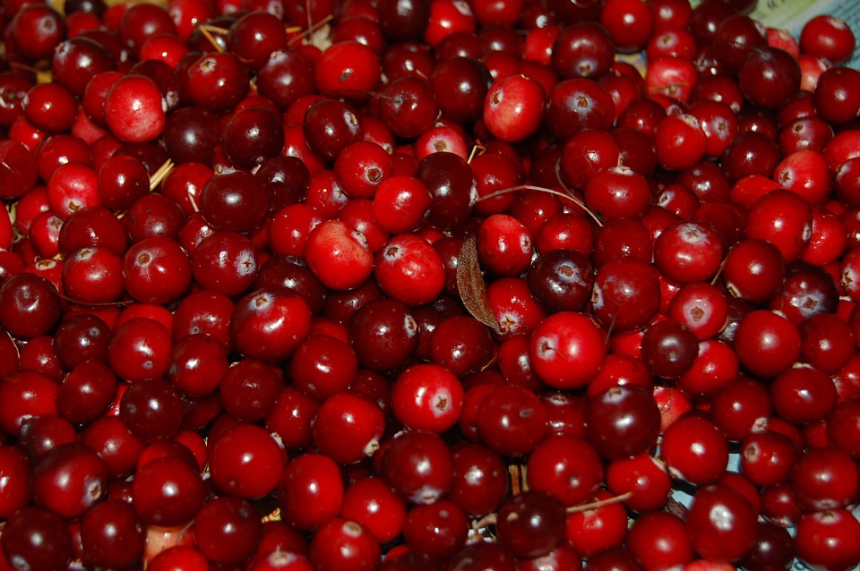 cranberries for gluten free cherry cranberry compote