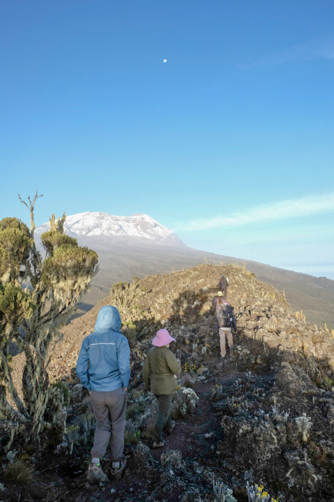 KILIMANJARO WITH KIDS