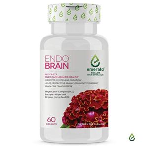 ENDO BRAIN